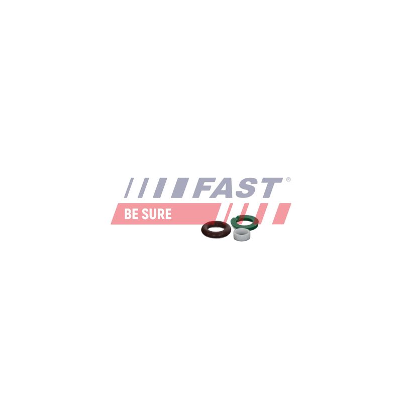 FAST FT01835 Repair Kit, unit injector