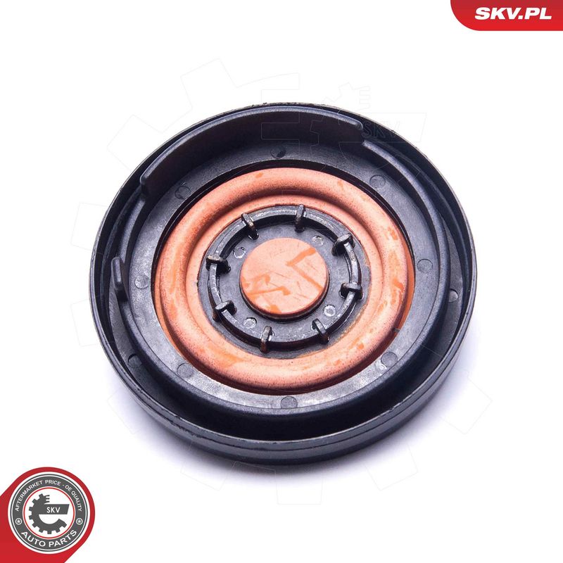 Membraan, karteri tuulutus, ESEN SKV 31SKV189