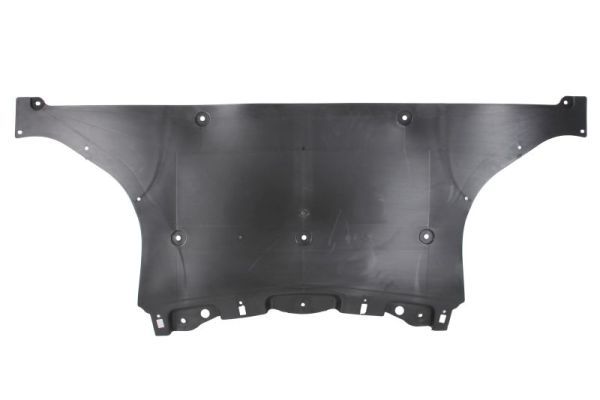 BLIC 6601-02-7800881P Engine Cover