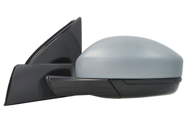 BLIC 5402-57-0698310P Exterior Mirror