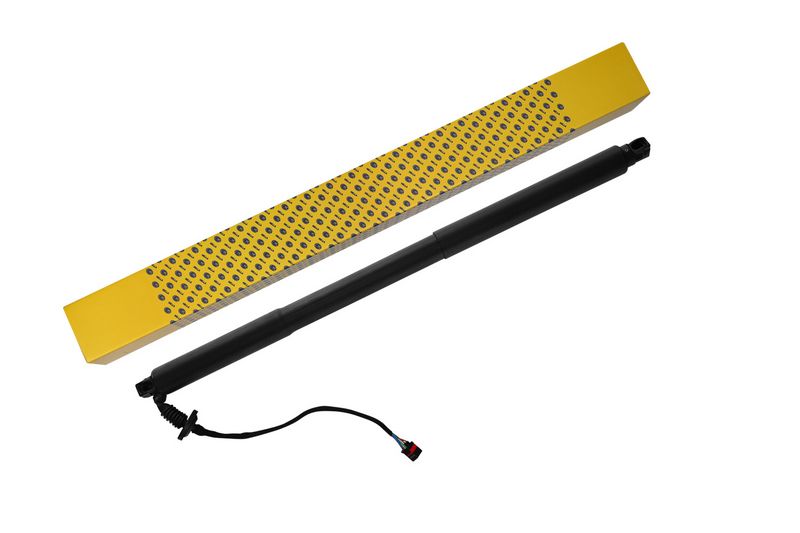 Prekės atitinka OEM kodą: 31385256