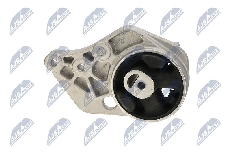 Paigutus, Mootor, NTY ZPS-CH-113