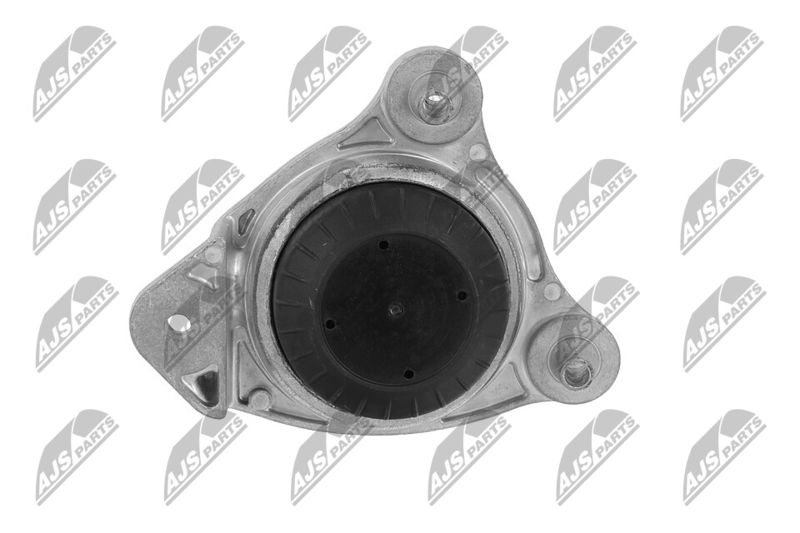 Paigutus, Mootor, NTY ZPS-ME-066