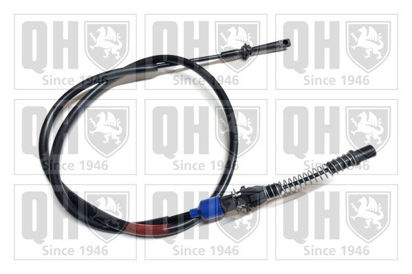 QH_QTC4054.JPG