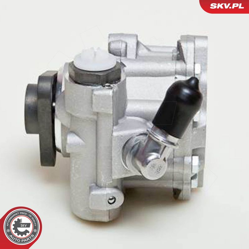 ESEN SKV 10SKV049 Hydraulic Pump, steering
