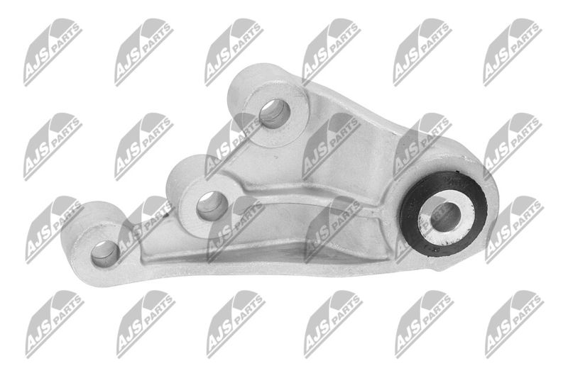 Paigutus, Mootor, NTY ZPS-CH-123