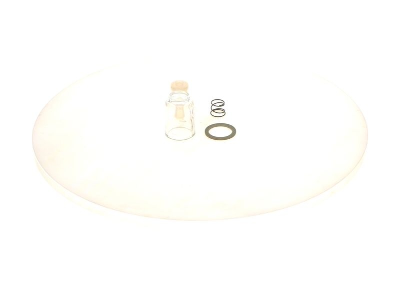 BOSCH 2 447 010 017 Fuel Filter