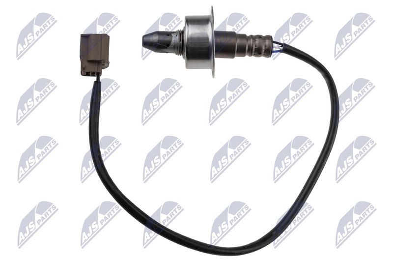 ESL-NS-001_1-WM.JPG