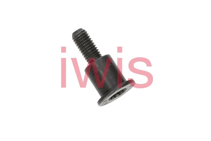 Bolt patina lant distributie 60216 AIC