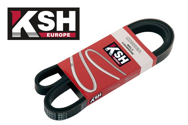 Correa trapecial poli V