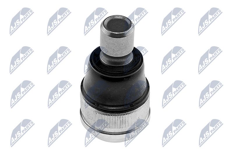 Kande-, juhtliigend, NTY...