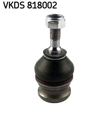 VKDS 818002.JPG