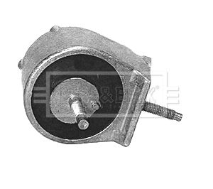 BEM3392_210248.JPG