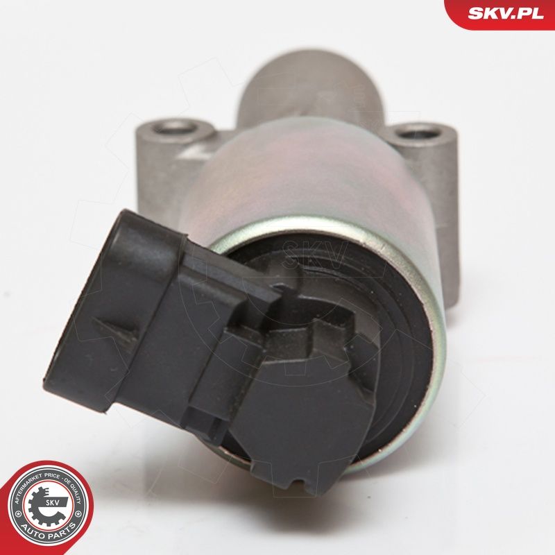 EGR-klapp, ESEN SKV 14SKV065