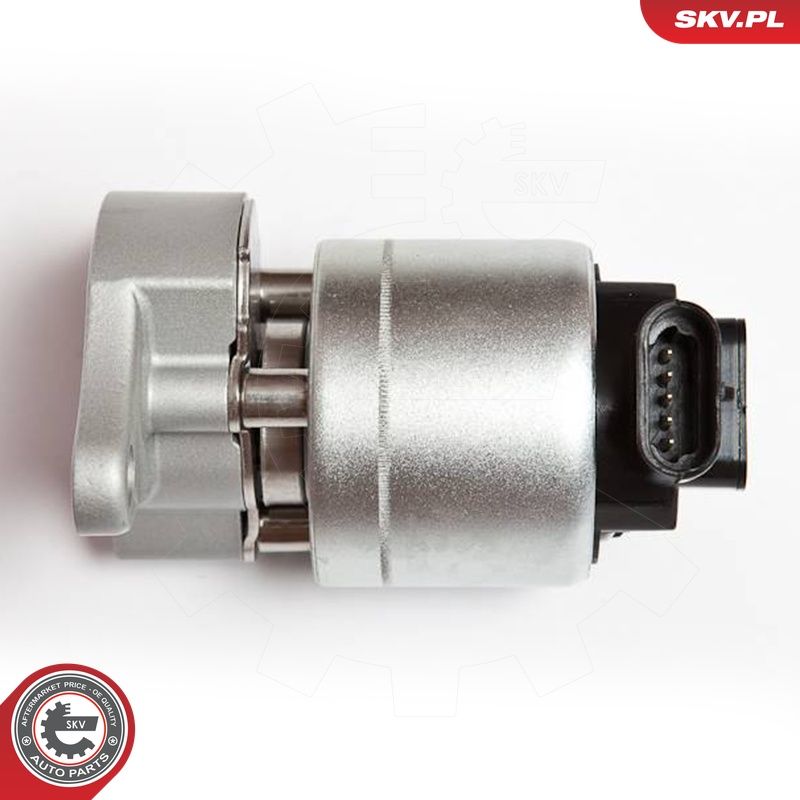 EGR-klapp, ESEN SKV 14SKV042