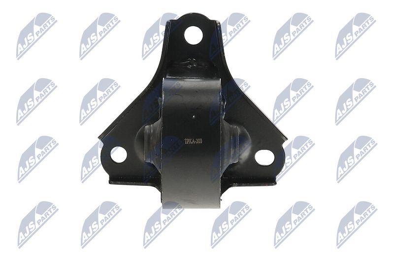 Paigutus, Mootor, NTY ZPS-KA-300