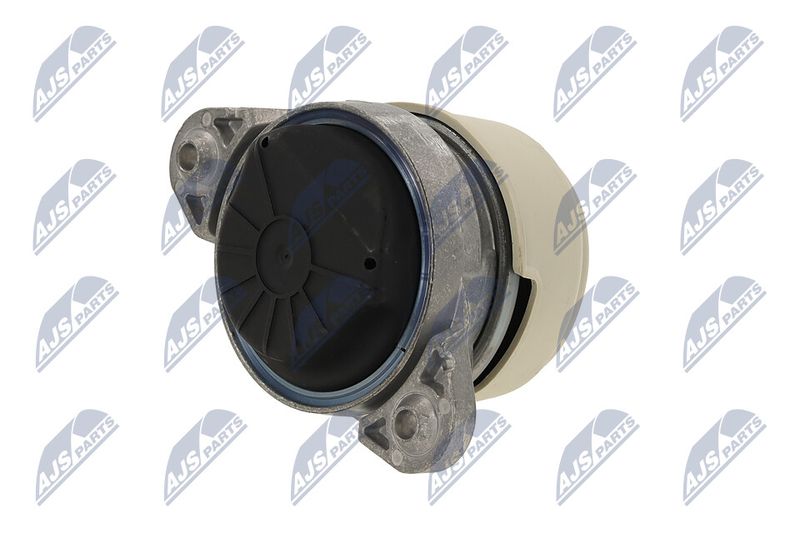 Paigutus, Mootor, NTY ZPS-ME-011