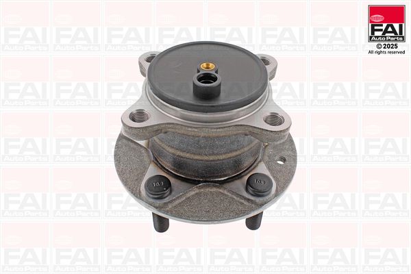 FAI AutoParts Rato guolio komplektas