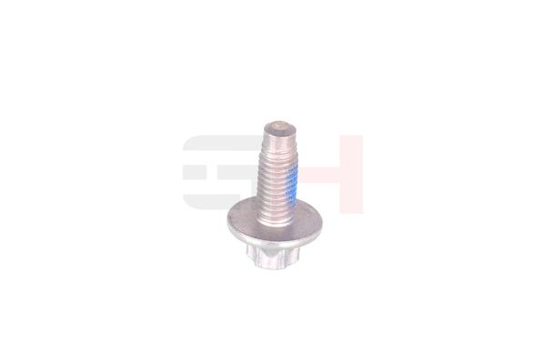 Vedruamordi tugilaager, GH GH-393311