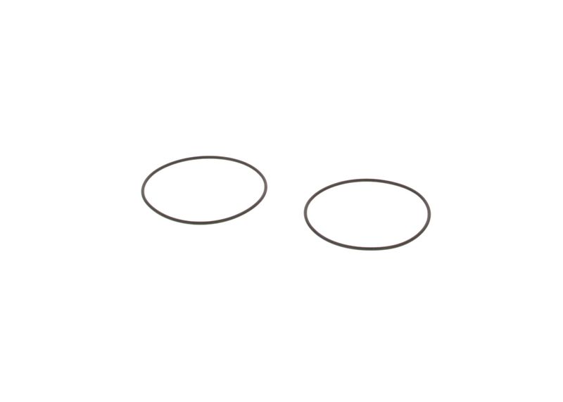 BOSCH 3130210005 Seal