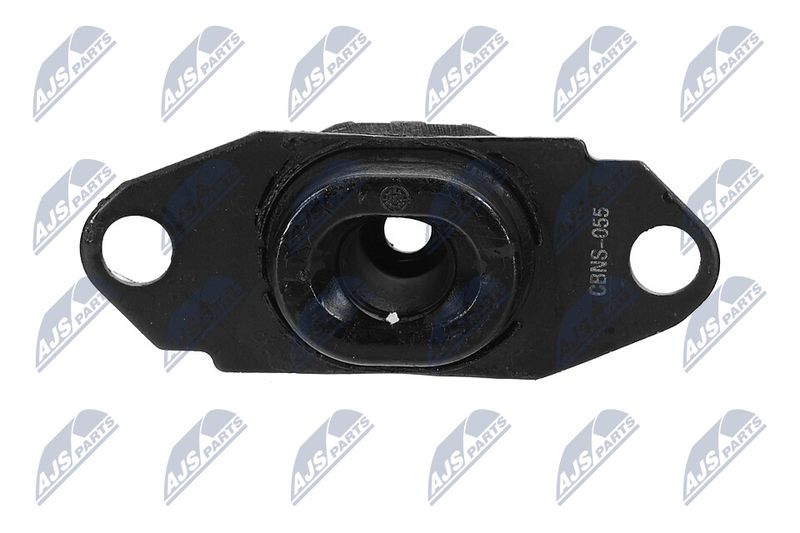 Paigutus, Mootor, NTY ZPS-NS-080