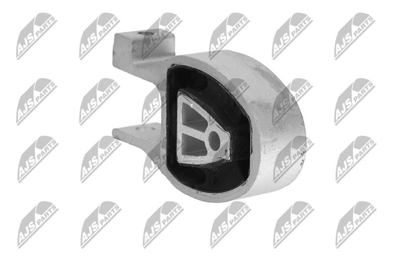 Paigutus, Mootor, NTY ZPS-FR-010