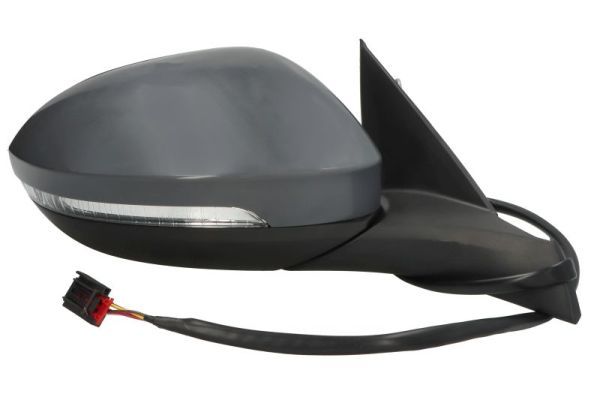 BLIC 5402-01-2555311P Exterior Mirror