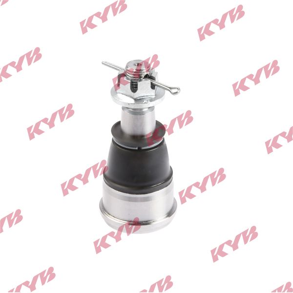 KYB-KBJ4338.JPG