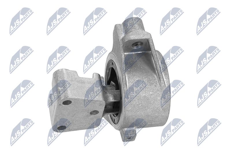 Paigutus, Mootor, NTY ZPS-PE-031