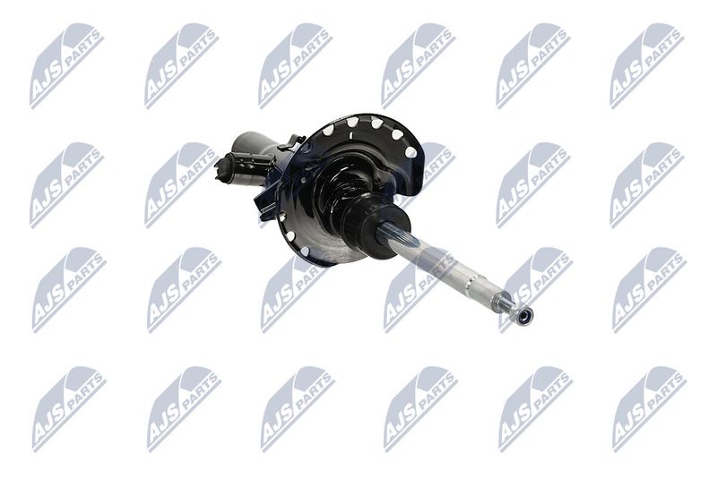Amort, NTY A-LR-033