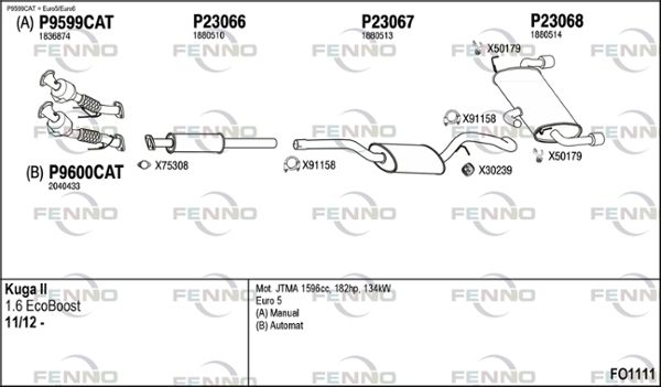 FO1111.JPG