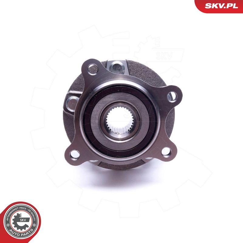 Rattalaagrikomplekt, ESEN SKV 29SKV494