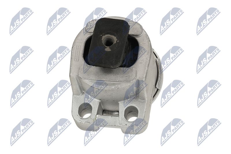 Paigutus, Mootor, NTY ZPS-FR-017