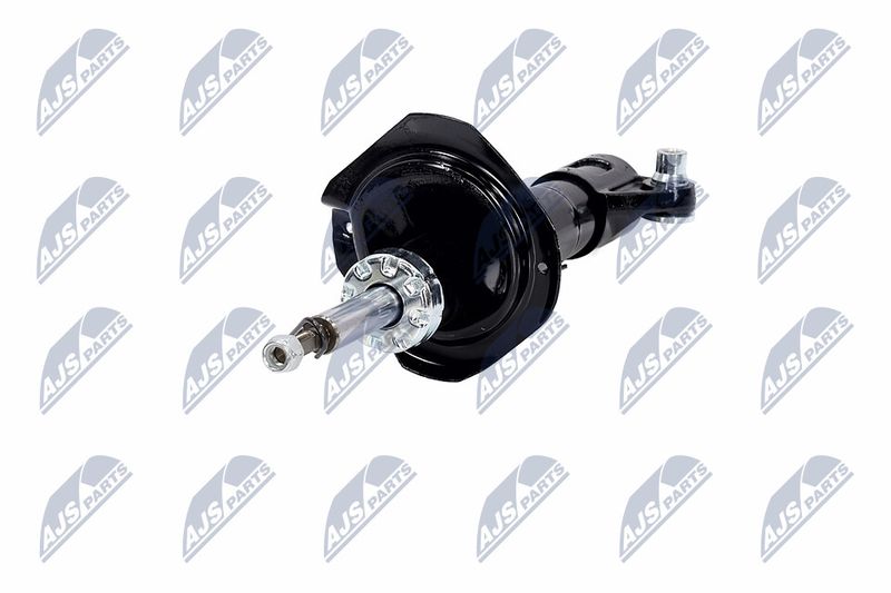 Amort, NTY A-NS-016