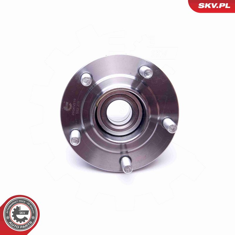 ESEN SKV 29SKV219 Wheel Bearing Kit