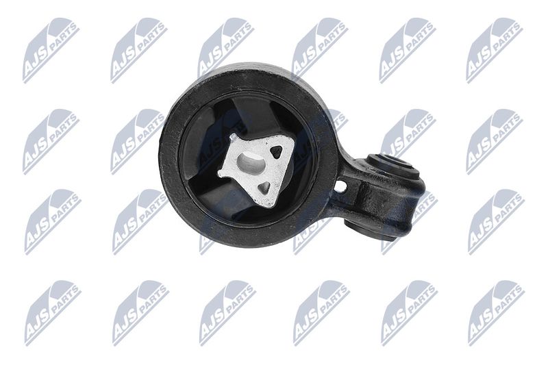 Paigutus, Mootor, NTY ZPS-CH-117