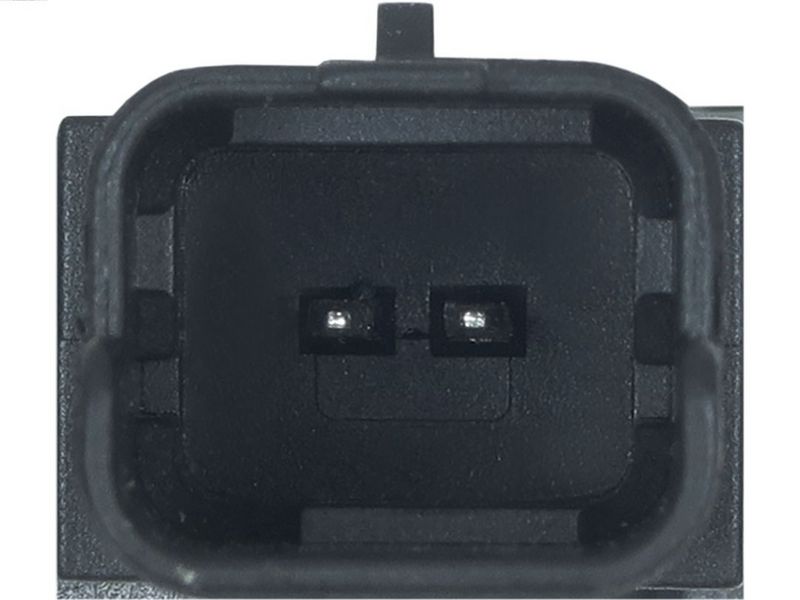 416798.JPG