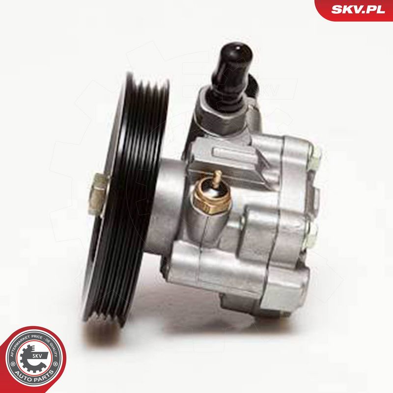 ESEN SKV 10SKV059 Hydraulic Pump, steering