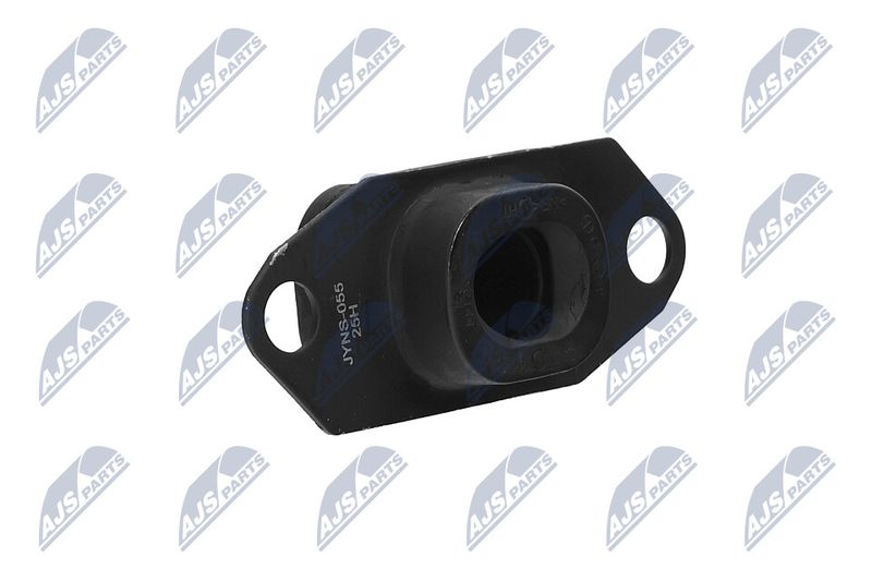 Paigutus, Mootor, NTY ZPS-NS-055