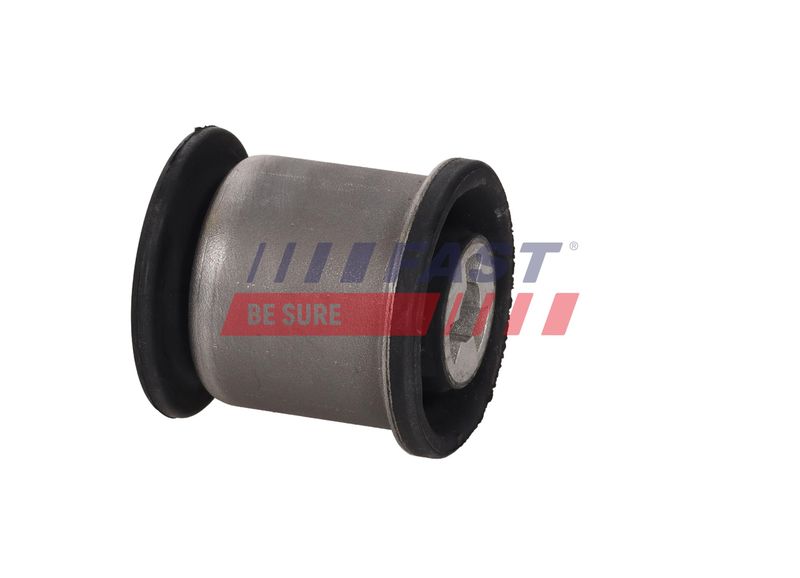 Puks, FAST FT10169