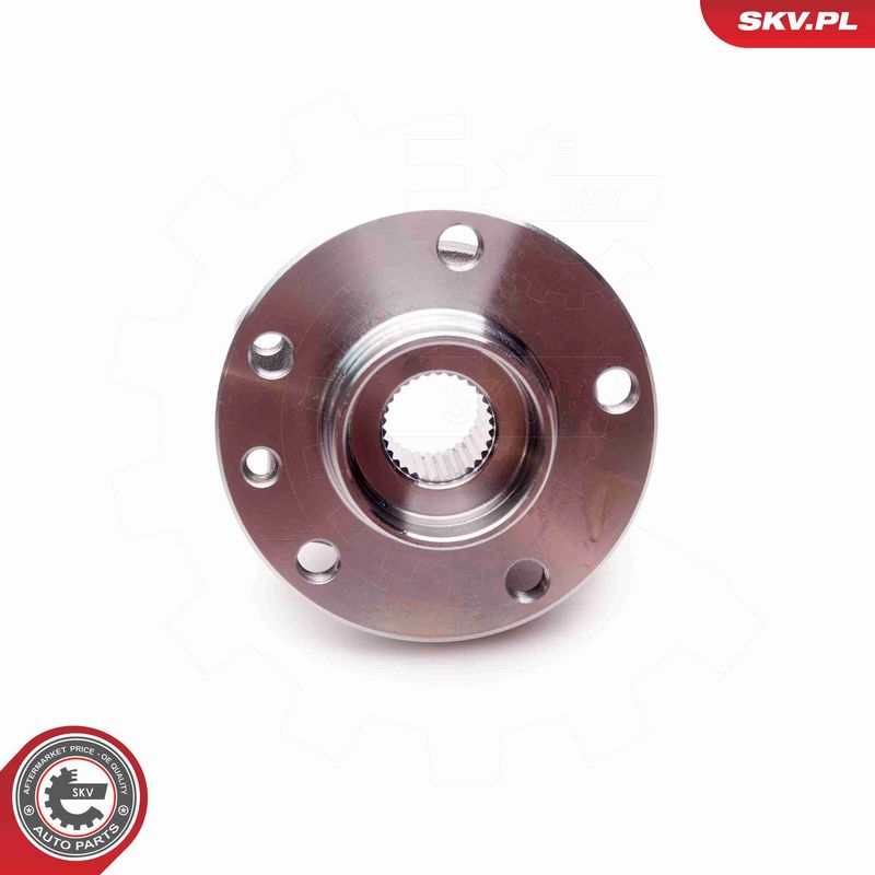 ESEN SKV 29SKV143 Wheel Bearing Kit