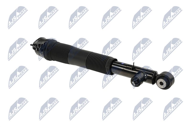 Amort, NTY A-LR-036