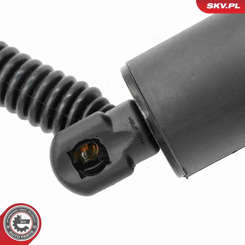 ESEN SKV 52SKV186 Electric Motor, tailgate