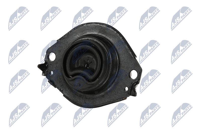 Paigutus, Mootor, NTY ZPS-CH-076