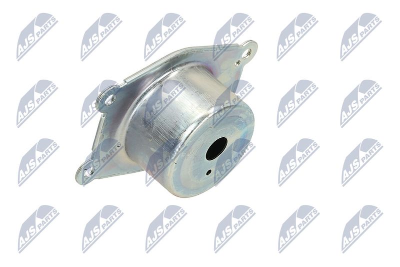 Paigutus, Mootor, NTY ZPS-PL-044