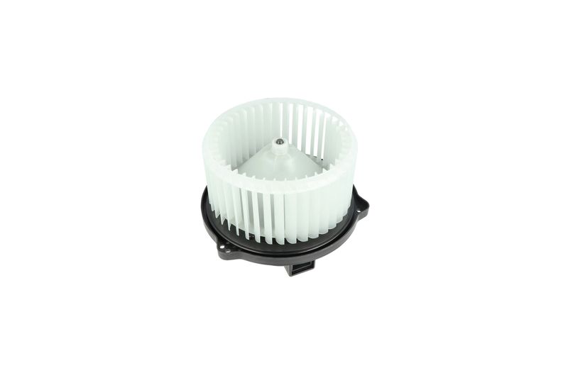 Salongipuhur, NRF 34329