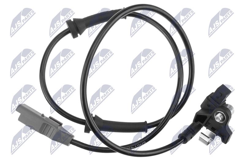 HCA-CT-032_1-WM.JPG