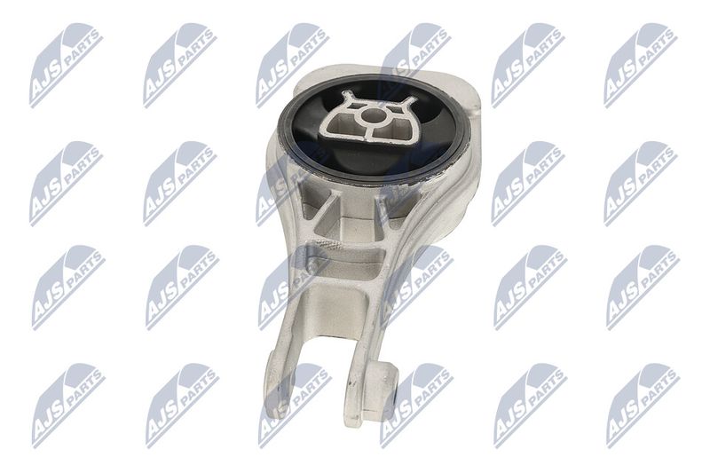 Paigutus, Mootor, NTY ZPS-PL-079