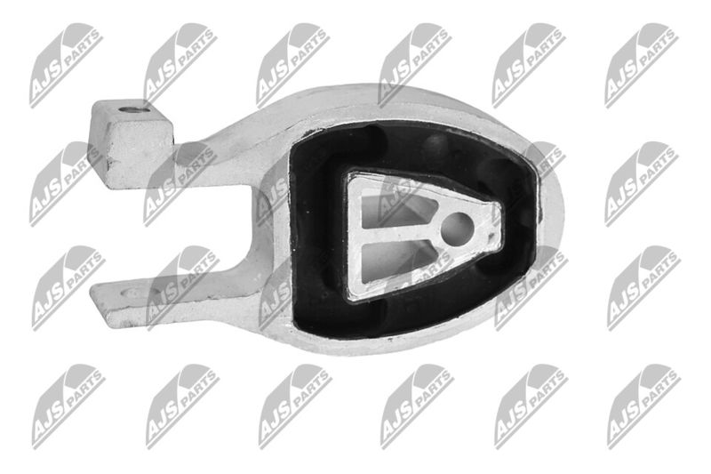 Paigutus, Mootor, NTY ZPS-FR-010