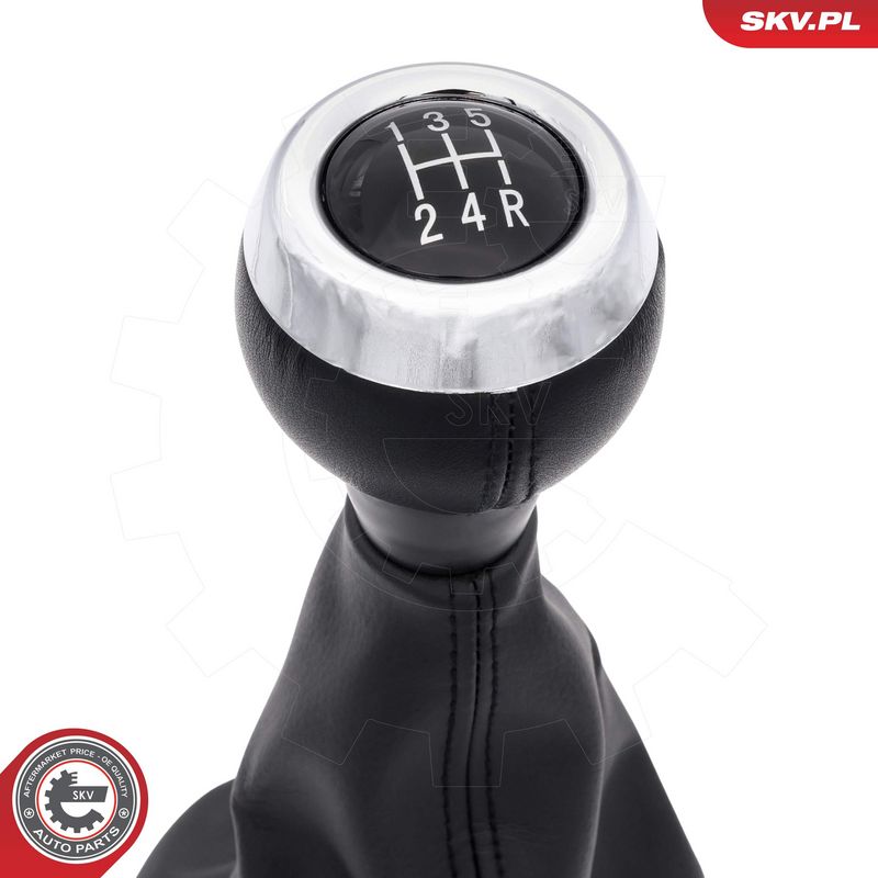 Käigukanginupp, ESEN SKV...